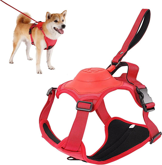 ATUBAN Dog Harness and Retractable Leash Set